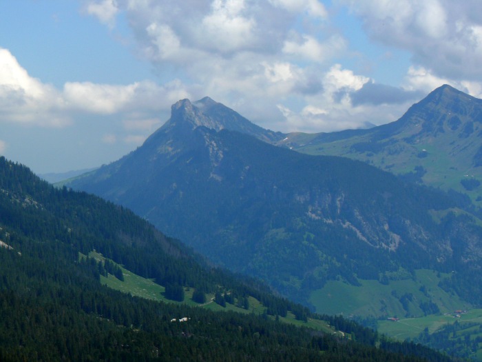 Fürstein und Schwendiliflue