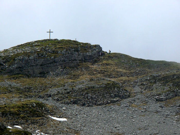 Hengst mit Gipfelkrauz