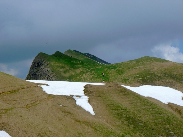 Weiterweg zum Hengst