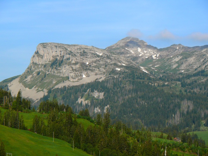 Böli und Schibengütsch