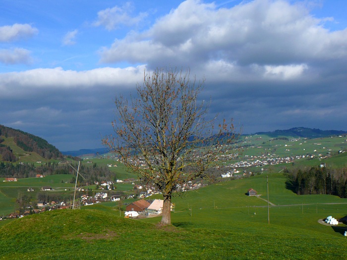 Beim Anstieg Richtung Zahme Gocht: Blick ins Appenzellerland