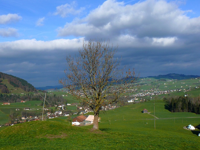 Beim Anstieg Richtung Zahme Gocht: Blick ins Appenzellerland