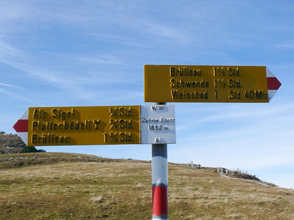 aus der Zahmen Gocht ausgestiegen