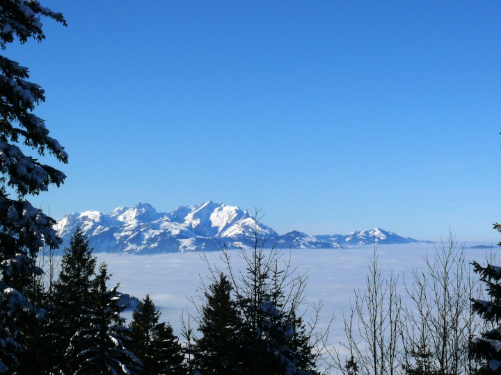 Blick übers nebelverhangene Rheintal zum Alpstein