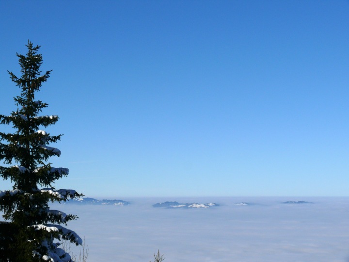 nur die Gipfel der Appenzeller Hügel ragen aus dem Nebel empor