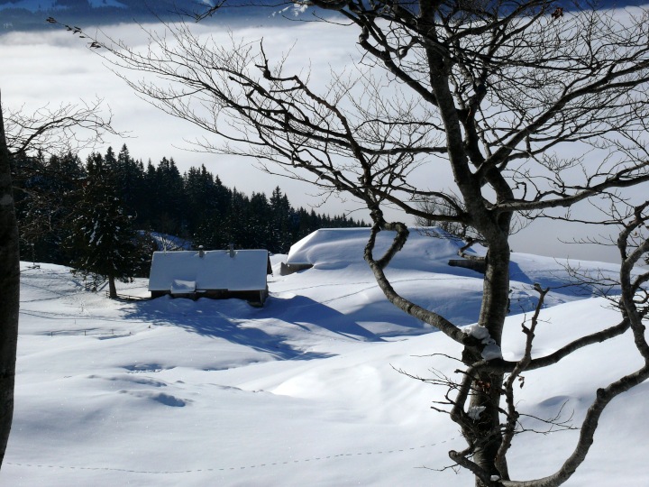 Winterlandchaft