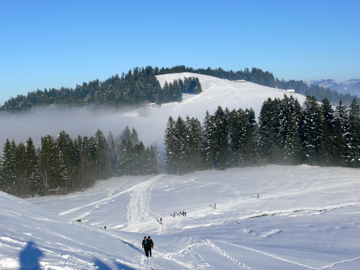 Geißkopf am Bödele