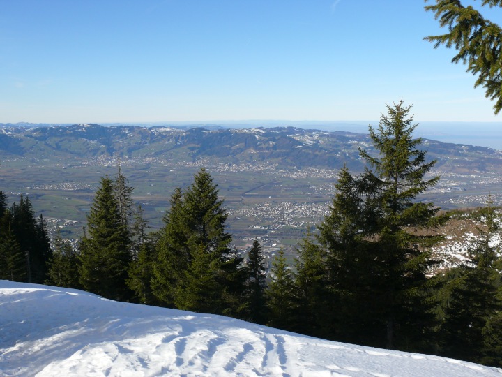 Blick in die Rheintalebene