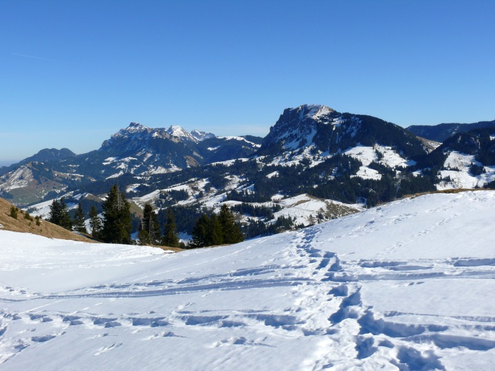 Schimbrig und Mittaggüpfi