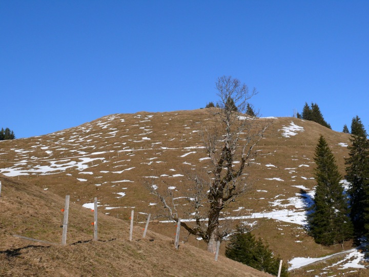 Abstieg vom Farnere Richtung Finishütte