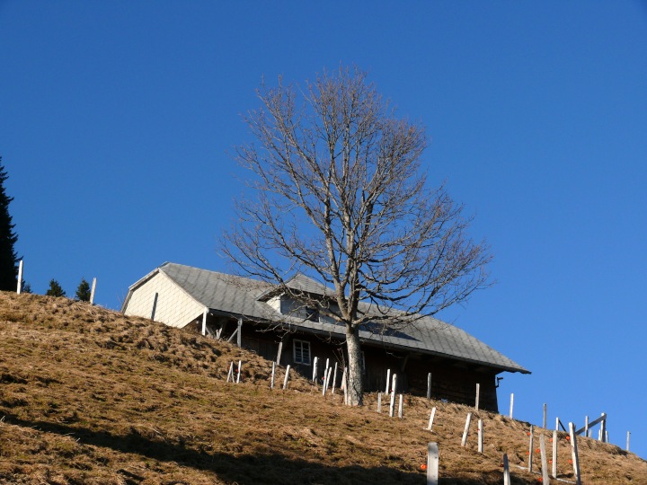 Alpgebäude unterhalb der Farnere