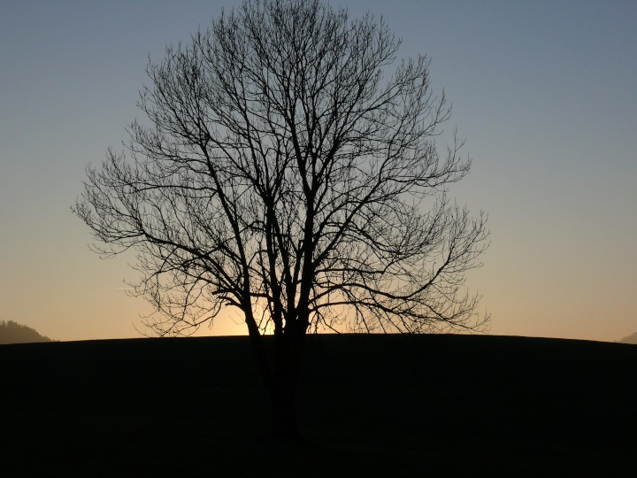 Abendstimmung bei Schüpfheim