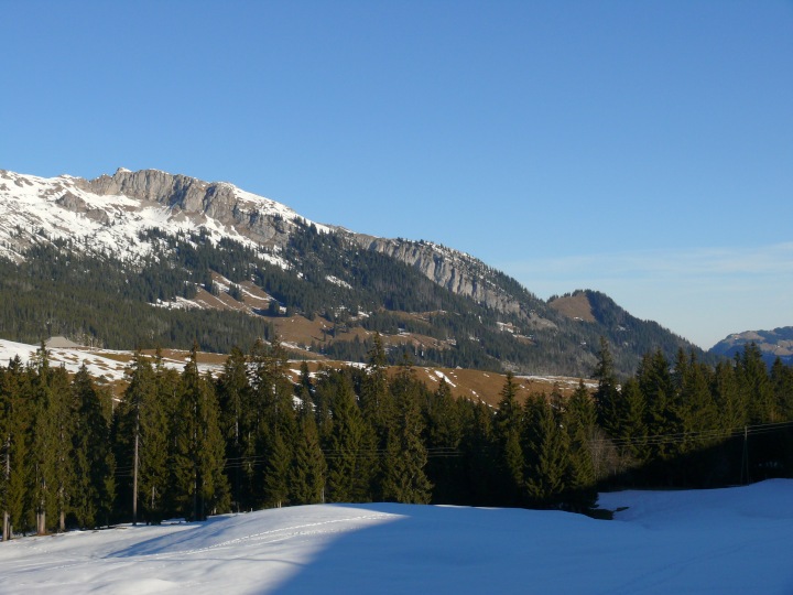 Blick auf den Ostteil der Schrattenfluh