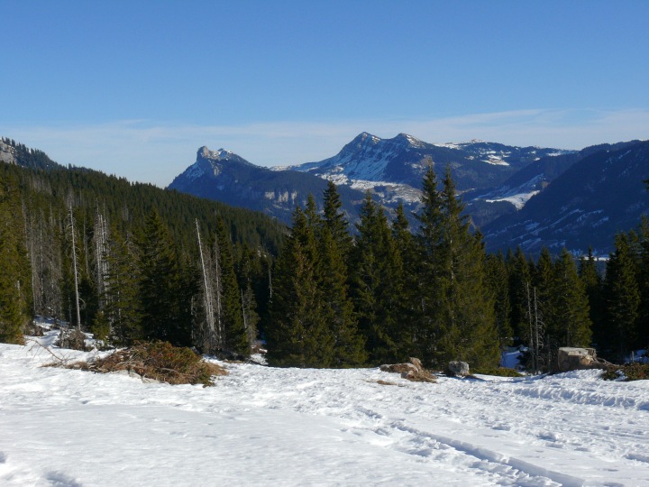 Fürstein und Schwändiliflue