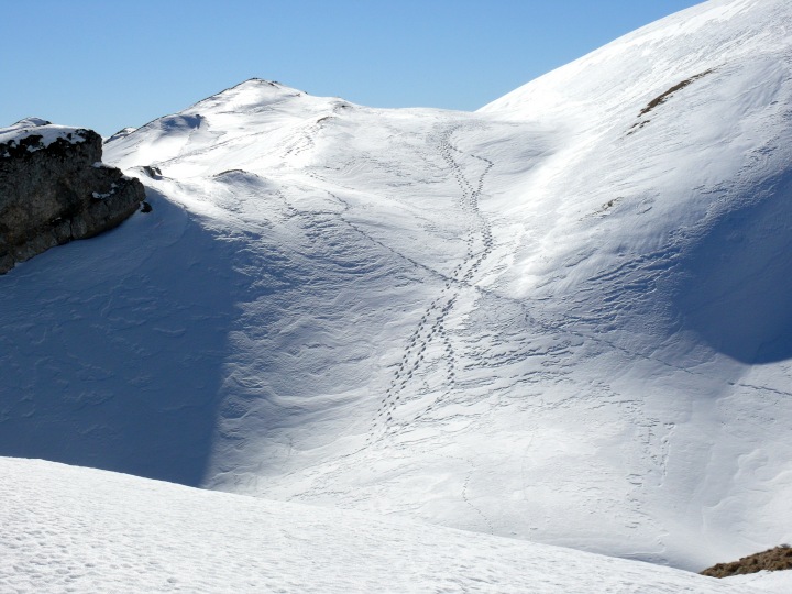 Schneeschuhspuren