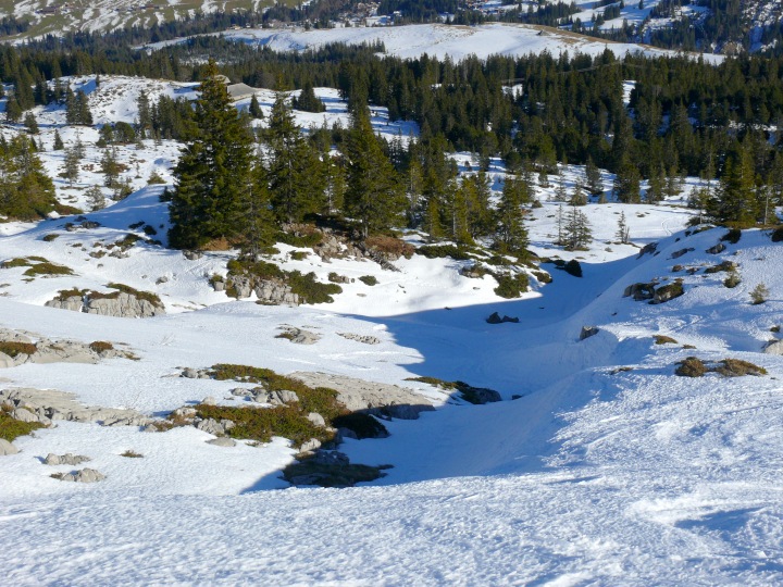 tückisch verwehte, baumbestandene Karstlandschaft