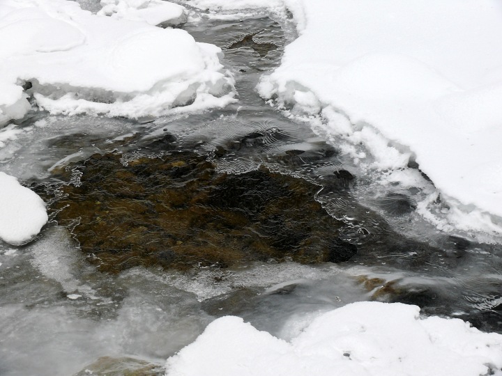 Eisspiele am Oberlauf der Waldemme