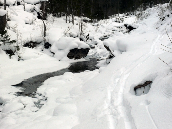 querfeldein an der Waldemme entlang