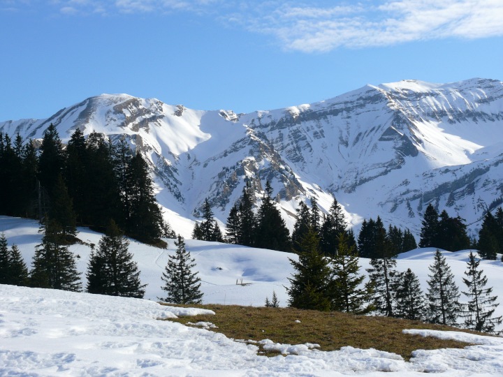 Grat vom Arnihaaggen zum Brienzer Rothorn