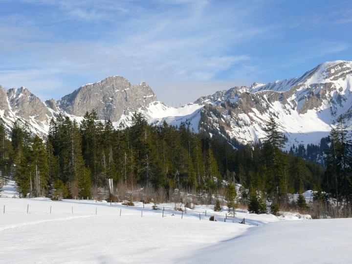 Rossflue und Höch Gumme