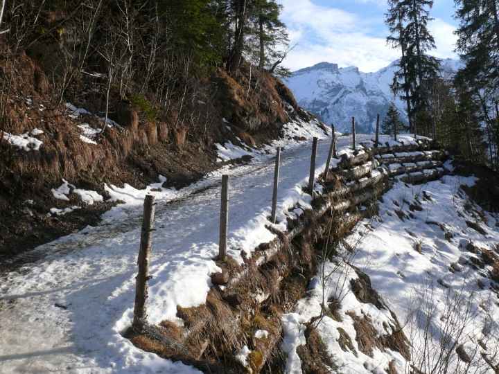 Abstieg nach Sörenberg