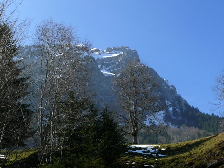 Erster Blick auf die steile Schimbrig-Nordflanke