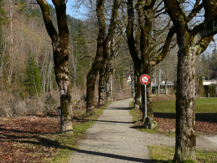 Allee an der Waldemme