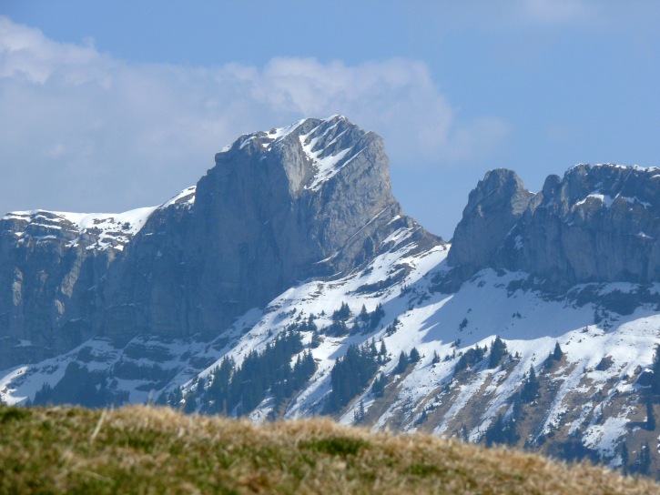 Baumgartenflue