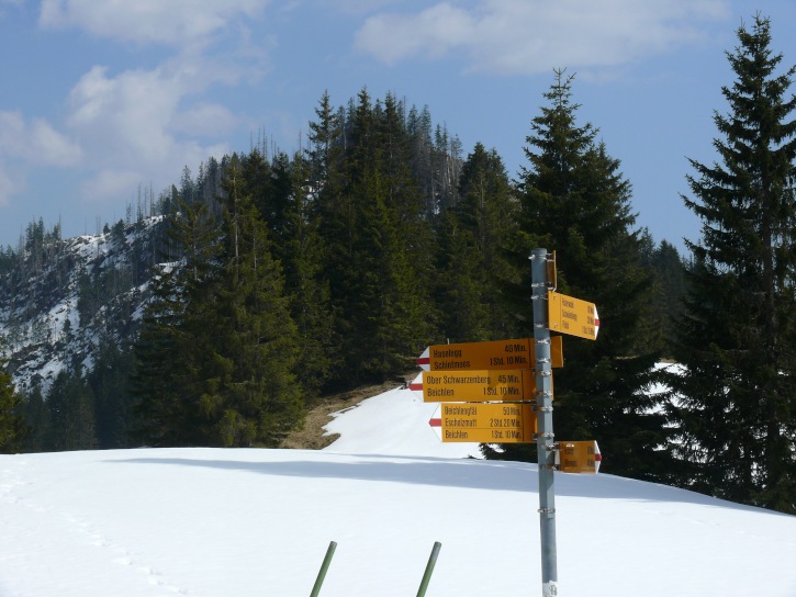 Wegweiser bei Finsterwald