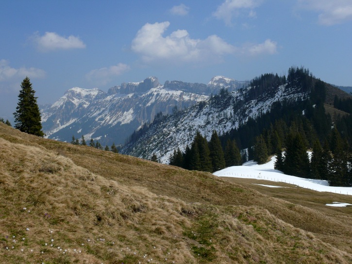 Baumgartenflue und Schafmatt