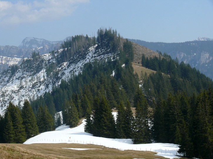 Rückblick von der Portenalp aus