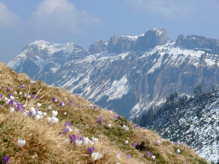 Baumgartenflue und Schafmatt