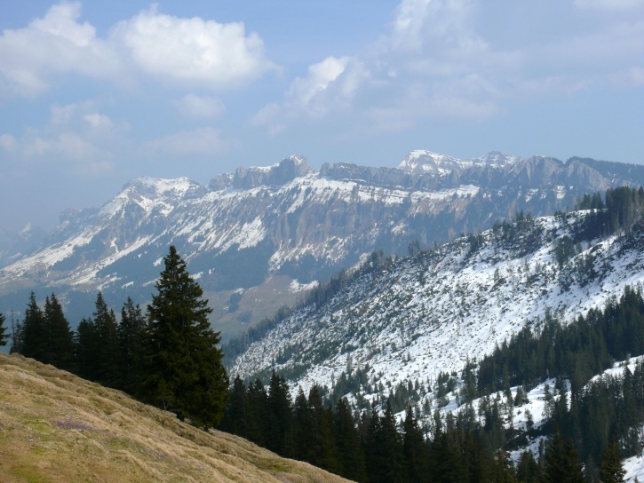 Baumgartenflue und Schafmatt