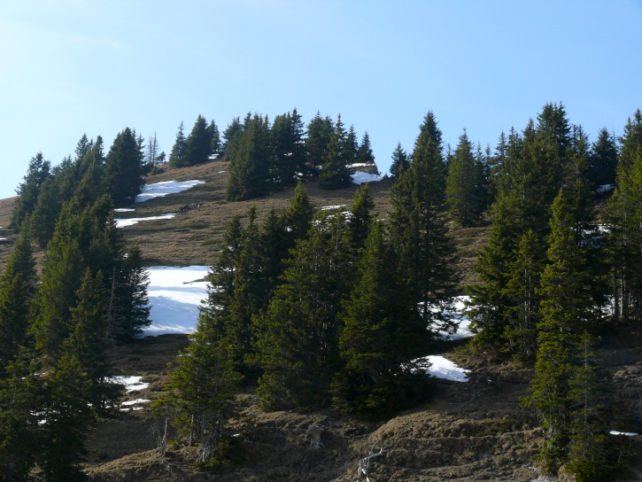 Beichlen - Gipfel