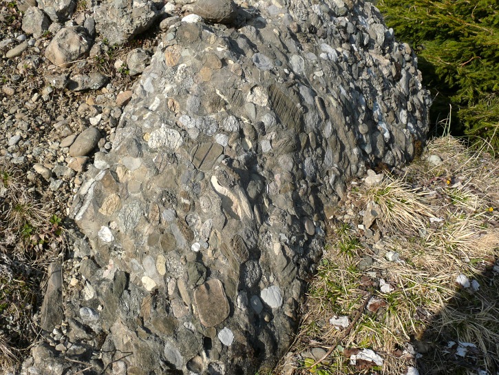 Nagelfluh am Beichlen