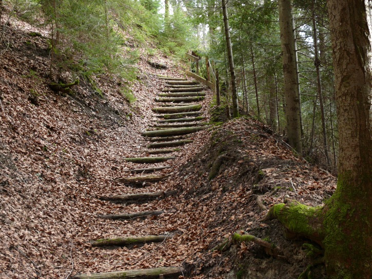 Wanderweg bei Marbach Richtung Wachthubel