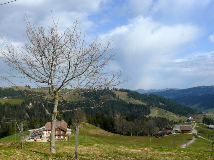 auf dem Grenzpfad Napfbergland