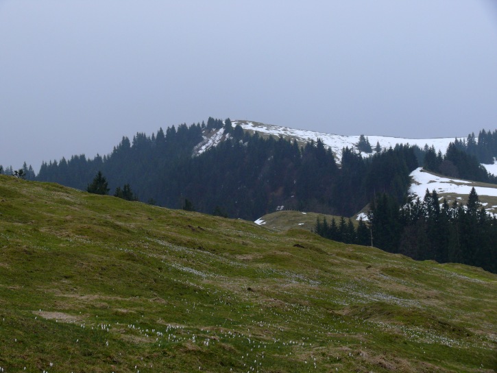 Rückblick zum Wachthubl