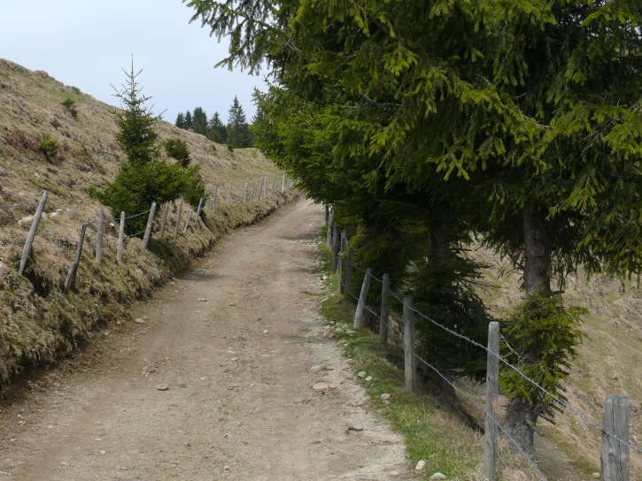 Wanderweg Richtung Pfyffer