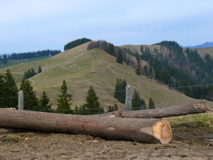 Abzweigung am Rämisgummen zur Alpe Geisshollen