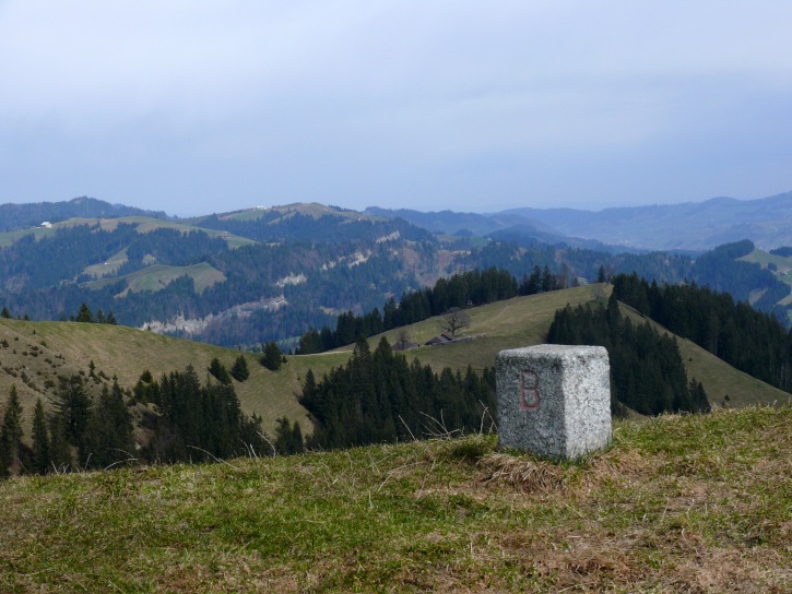 immer noch an der Kantonsgrenze entlang