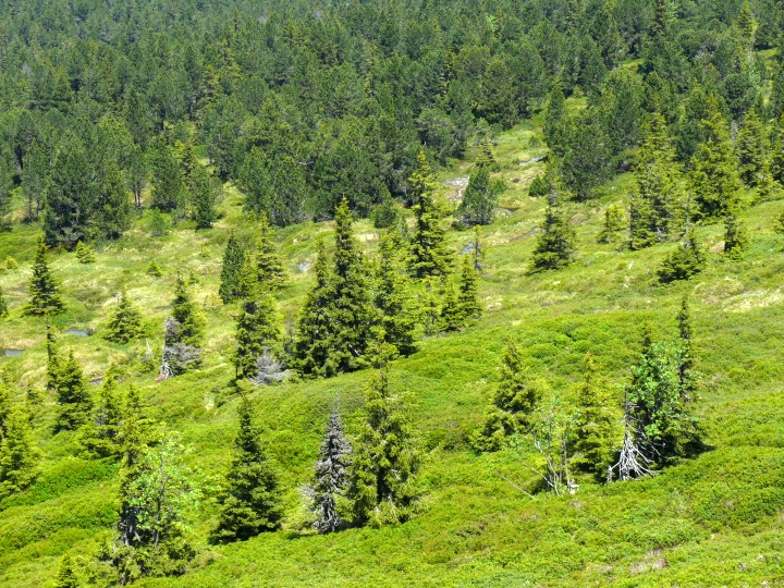 Moorlandschaft bei der Haglere