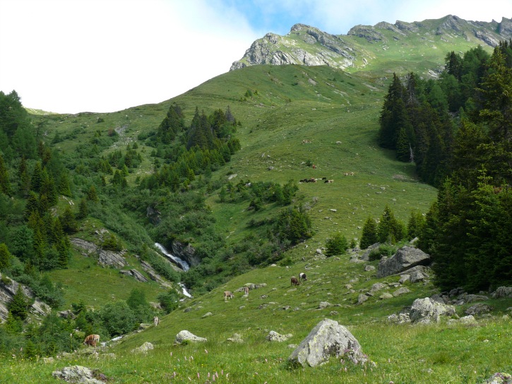 bei der Alpe Furcela