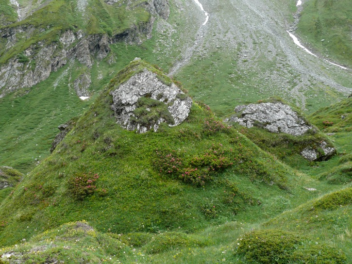 überwachsene Felsen