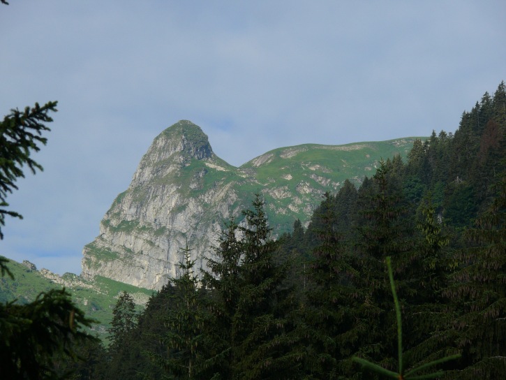 Tristencholben