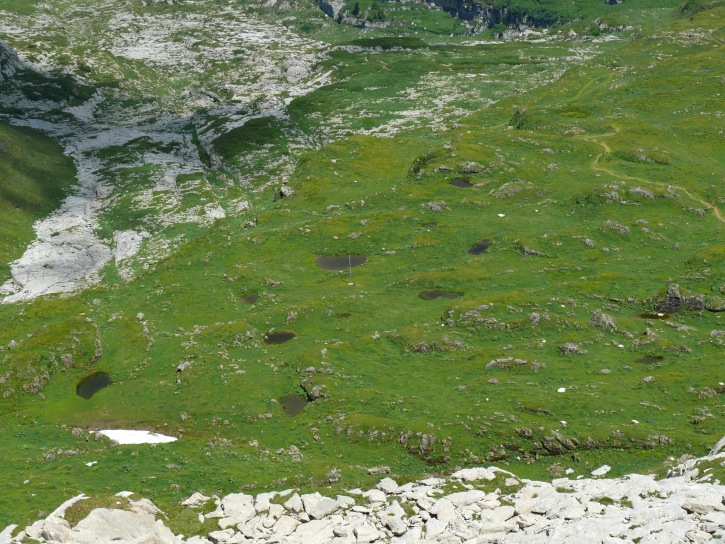 Tümpel zwischen Chäserrugg und Gamserrugg