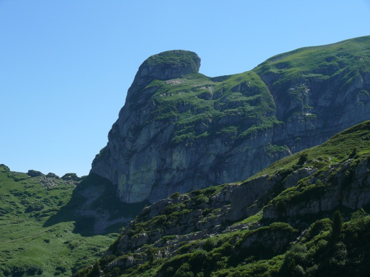 Tristencholben