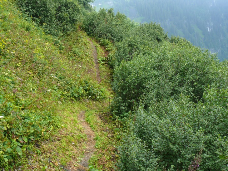 Weiterweg zum Rietstöckli