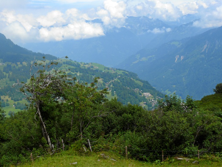 Blick auf Braunwald