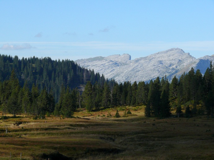 Moorlandschaft, dahinter die Schrattenfluh